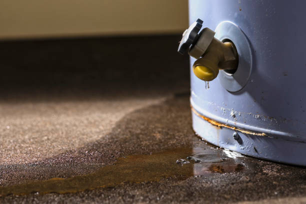 Best Water damage restoration near me  in Parklawn, CA