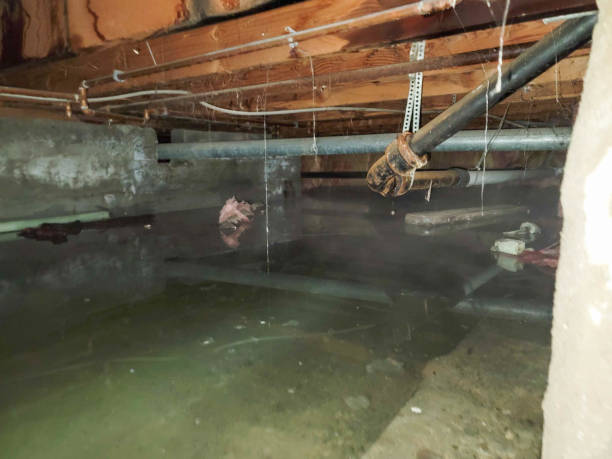 Best 24/7 water damage repair  in Parklawn, CA