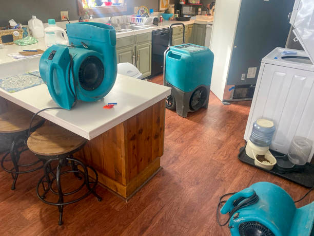 Best Mold removal after water damage  in Parklawn, CA