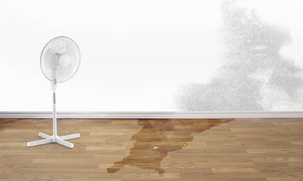 Best 24/7 water damage repair  in Parklawn, CA