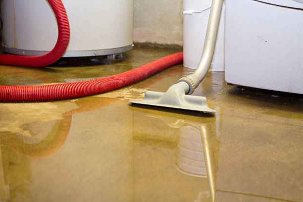 Best Water damage contractors near me  in Parklawn, CA