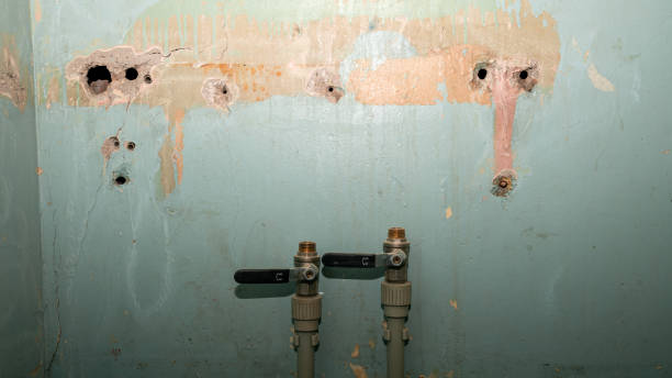 Best Local water damage restoration  in Parklawn, CA