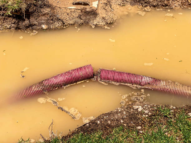 Best 24-hour water damage restoration  in Parklawn, CA